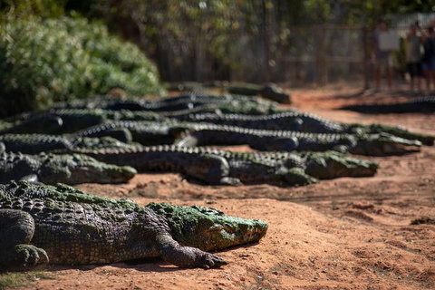Malcolm Douglas Crocodile Park - Stays Accommodation 8
