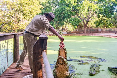 Malcolm Douglas Crocodile Park - Stays Accommodation 3
