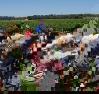 Margaret River Tour The Full Bottle - Stayed