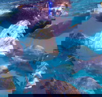 Coral Bay 2-Hour Coral Viewing and Snorkeling - Stayed