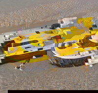 Prehistoric Cocktail Breakfast Hovercraft Tour - Stayed