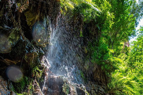 Secret Locations Tour - Stayed 6