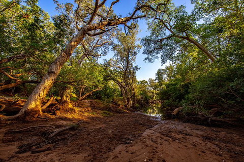 Secret Locations Tour - Stayed 7