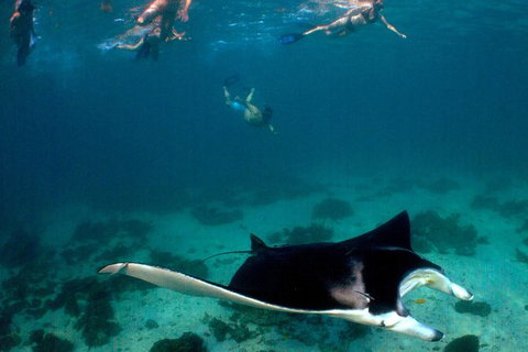 5 Night Ningaloo Reef Ningaloo Escape From Coral Bay - Stayed 1