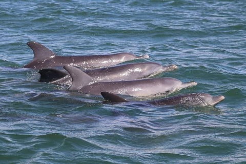 Romance Cruise + Scenic Tour + Beer Tasting + 3 Course Lunch + Hamper - Stayed 7