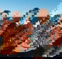 Abrolhos Islands 5 Day Tours - Stayed