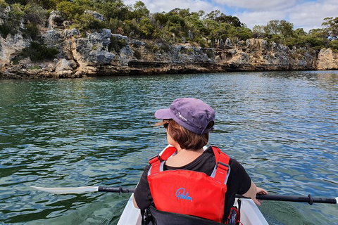 Cliffs And Caves Kayak Tour In Swan River - Stayed 1