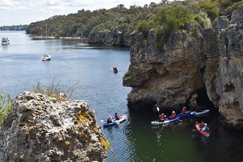 Cliffs And Caves Kayak Tour In Swan River - Stayed 2