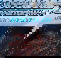 Lobster Fishing Tour at Geraldton - Stayed