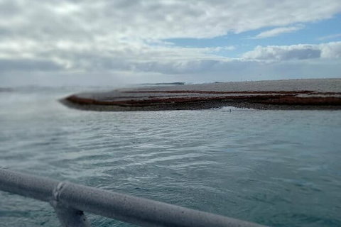 Abrolhos Islands Fishing Charter - Stayed 6