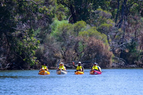 Private Guided River Kayak Tour - Stayed 6