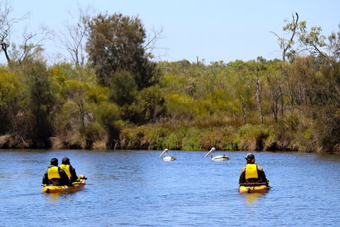 Private Guided River Kayak Tour - Stayed 4