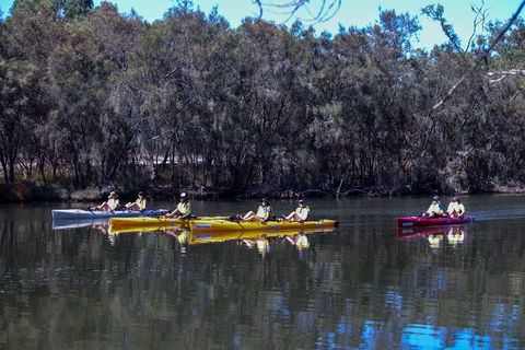 Private Guided River Kayak Tour - Stayed 5