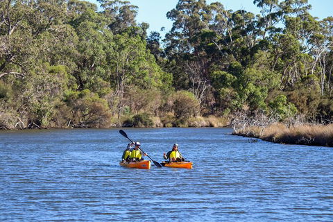 Private Guided River Kayak Tour - Stayed 7