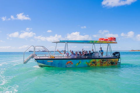 The Island Sandbar Experience - Stayed 5