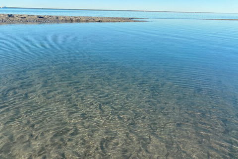 The Island Sandbar Experience - Stayed 4