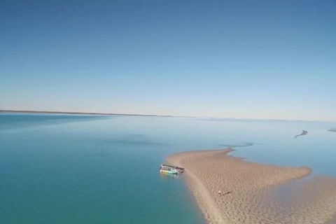 The Island Sandbar Experience - Stayed 6