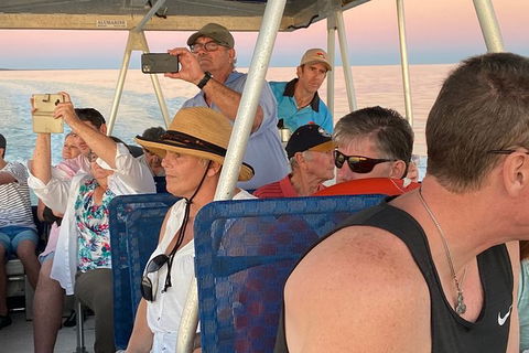 The Island Sandbar Experience - Stayed 3