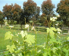 Alvie VIC Stays Accommodation