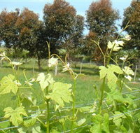 Barwon Ridge Wines - Stays Accommodation