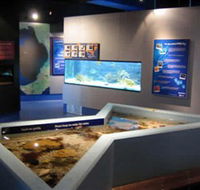Marine and Freshwater Discovery Centre - Stayed