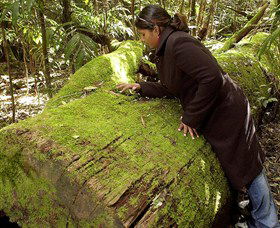 Washpool National Park - Washpool Walk - Stayed 0