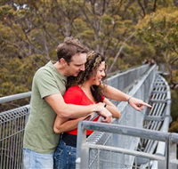 Valley of the Giants Tree Top Walk - Stayed