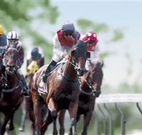 Colac Turf Club - Stayed