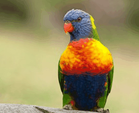 Booderee National Park - Stayed 1