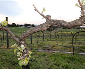Nalbra Estate Wines - Stayed 0