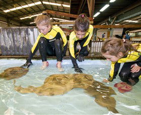 Dandenong South VIC Stayed