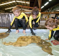 Australian Shark and Ray Centre - Stayed