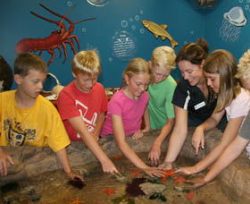 Naturaliste Marine Discovery Centre - Stayed 0