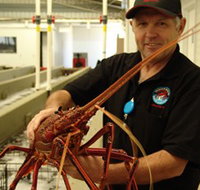 Lobster Shack - Stays Accommodation