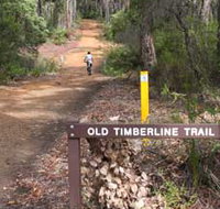Old Timberline and Sidings Rail Trails - Stayed