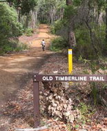 Book Nannup WA Attractions Stayed Stayed
