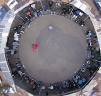 Two-Up School - Stayed