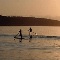 Jervis Bay Stand Up Paddle - Stayed 2