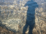 Jervis Bay Stand Up Paddle - Stayed 3