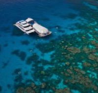 Great Adventures Reef and Green Island Cruises - Stayed