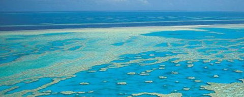 Aristocat Snorkel And Scuba Port Douglas - Stays Accommodation 3