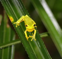 Daintree River Cruise Centre - Stayed