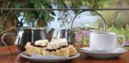 Food Trails Tours - Stayed 2