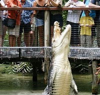 Hartley's Crocodile Adventures - Stayed