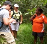 Ingan Tours - Spirit of the Rainforest Tour - Stayed