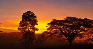 Ingan Tours - Spirit Of The Rainforest Tour - Stayed 3