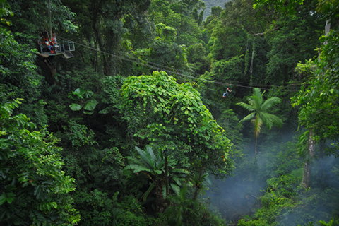 Jungle Surfing Canopy Tours And Jungle Adventures Nightwalks - Stayed 3
