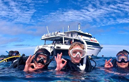 Pro Dive Cairns - Stayed 0