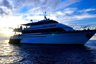 Pro Dive Cairns - Stayed 1