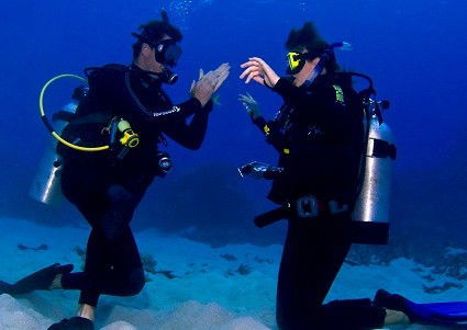 Pro Dive Cairns - Stayed 2